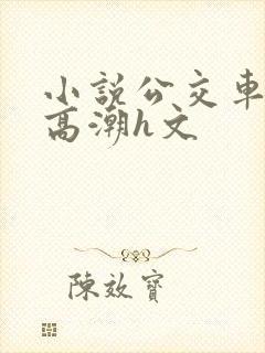 小说公交车被上高潮h文