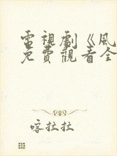 电视剧《风云》免费观看全集封面