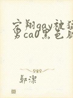 宏翔gay被猛男ca0黑色肌肉