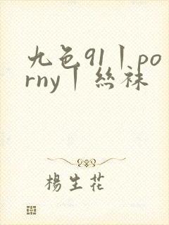 九色91丨porny丨丝袜
