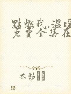 点燃我,温暖你免费全集在线观看