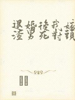 退婚后我嫁给了渣男死对头