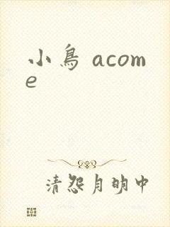 小鸟 acome