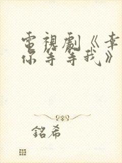 电视剧《幸福请你等等我》