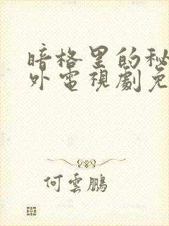 暗格里的秘密番外电视剧免费观看