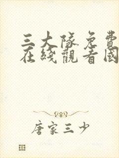 三大队免费完整在线观看国语