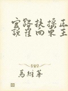 官路扶摇正版小说崔向东主