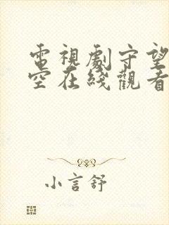 电视剧守望的天空在线观看