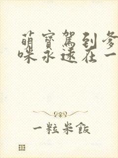 萌宝驾到爹地妈咪永远在一起