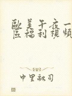 欧美午夜一区二区福利视频