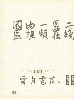 国内一区二区三区视频在线