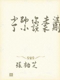 少帅你老婆又跑了小说未删减版