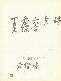 丁香六月婷婷欧美综合