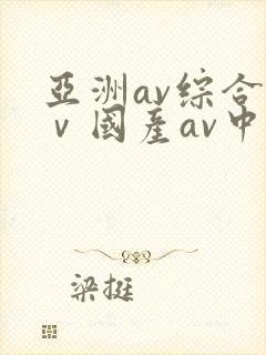 亚洲av综合aⅴ国产av中文