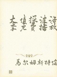 大侦探波洛第五季免费播放封面