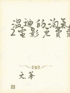 温迪的淘气之夜2电影免费观看封面