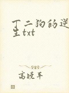 丁二狗的逆袭人生txt