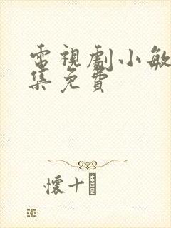 电视剧小敏家全集免费