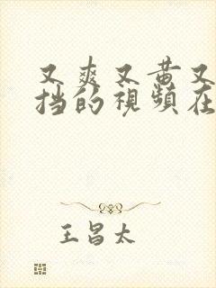 又爽又黄又无遮挡的视频在线观看