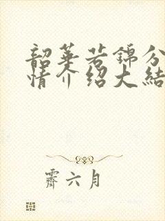 韶华若锦分集剧情介绍大结局