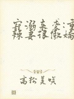 宠溺来袭:重生辣妻很傲娇