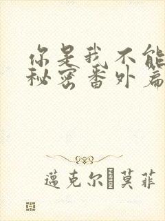 你是我不能说的秘密番外篇4封面