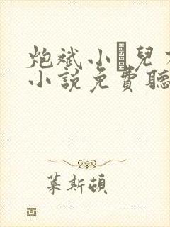 炮斌小苮儿有声小说免费听书