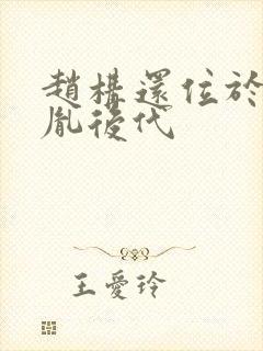 赵构还位于赵匡胤后代