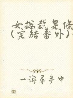 女总裁是条骚狗(完结番外)笔趣阁小说封面