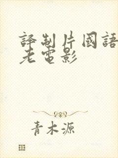 译制片国语配音老电影