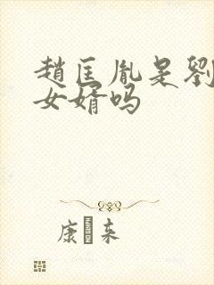 赵匡胤是刘知远女婿吗封面