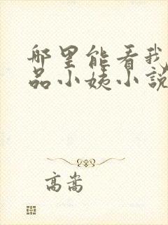 哪里能看我的极品小姨小说