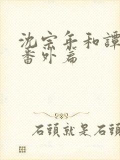 沈宗年和谭又明番外篇