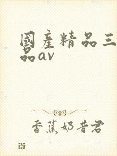 国产精品三级精品av封面