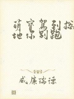 萌宝驾到总裁爹地你别跑