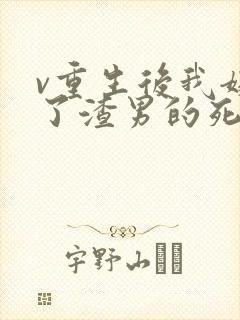 v重生后我嫁给了渣男的死对头