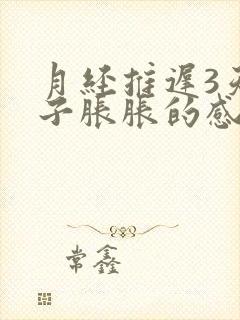 月经推迟3天肚子胀胀的感觉乳房胀痛