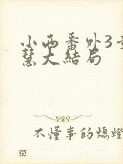 小西番外3章纪慧大结局