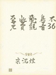 至此飞鸟不相逢免费观看36集全