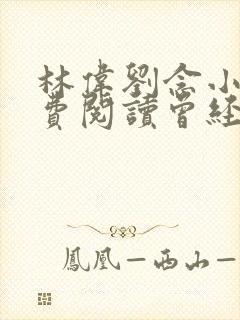 林伟刘念小说免费阅读曾经爱过我