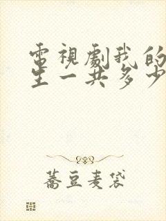 电视剧我的后半生一共多少集