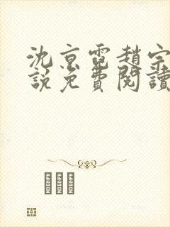 沈京霓赵宗澜小说免费阅读