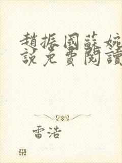 赵振国苏婉清小说免费阅读封面