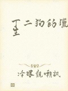 丁二狗的猎艳人生封面