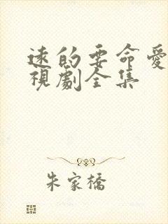 远的要命爱情电视剧全集