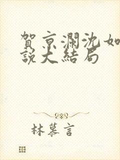 贺京澜沈如嫣小说大结局