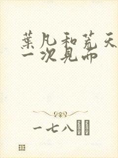 叶凡和荒天帝第一次见面