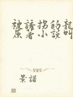 被诱拐的龙小说原著小说叫什么名字