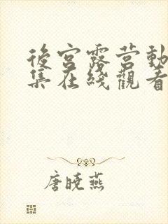 后宫露营动漫全集在线观看