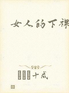 女人的下裸体封面